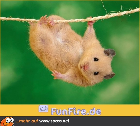 Einfach mal abhängen...