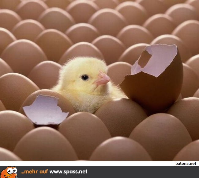 Bin ich zu früh?