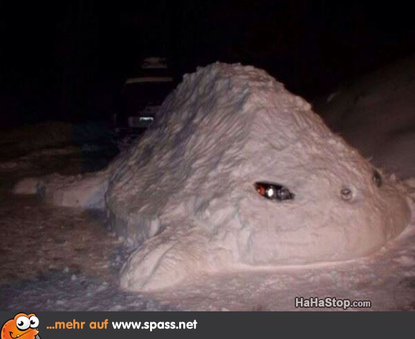Schneemobil