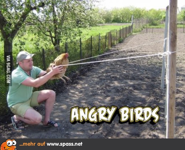 Angry Birds