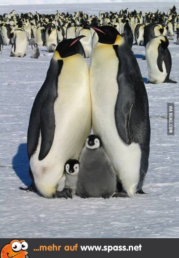 Happy Famliy