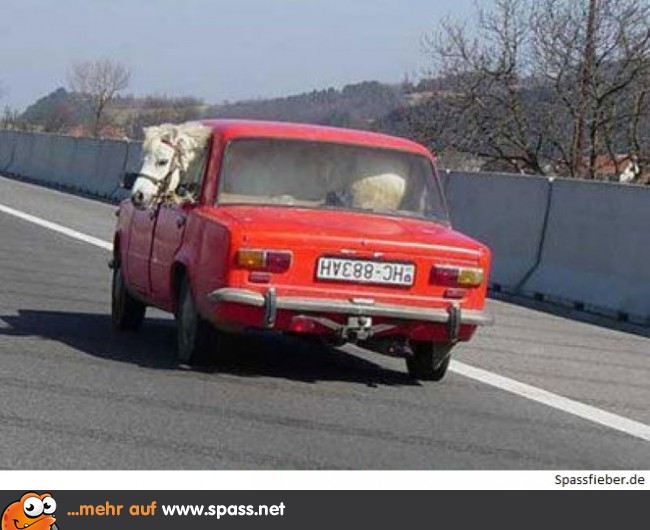 Achtung, Pferdetransport
