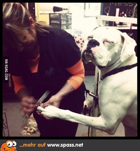 Einmal Maniküre, bitte.