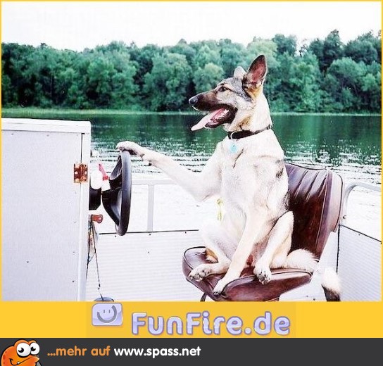 Kapitän Hund