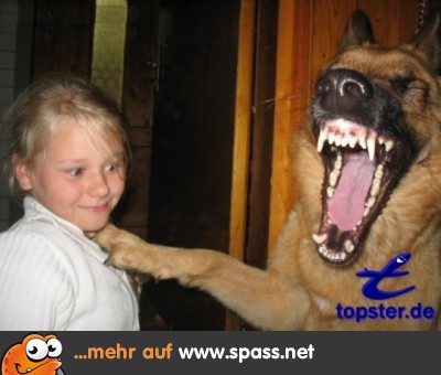 Guter Joke