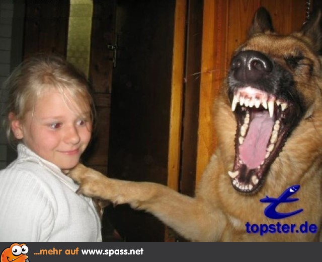 Guter Joke