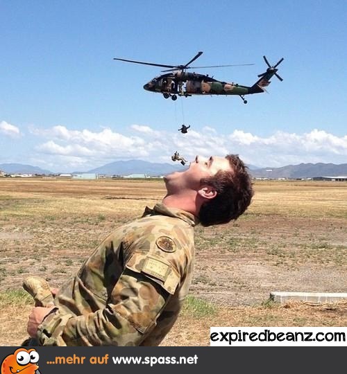 nom nom