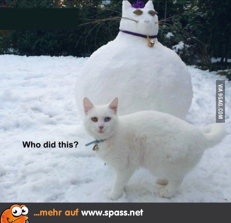Wer war das?