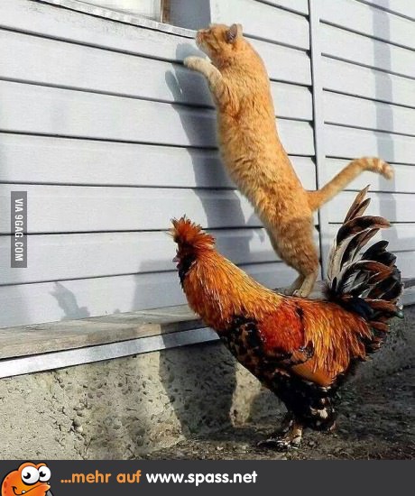 Teamwork