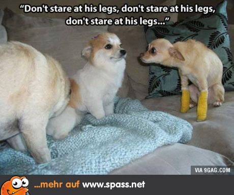 NICHT starren