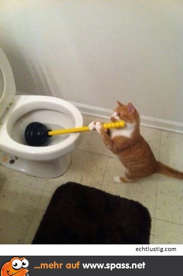 Immer bleibt das an mir hängen