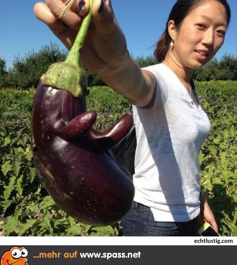 Arm-Aubergine