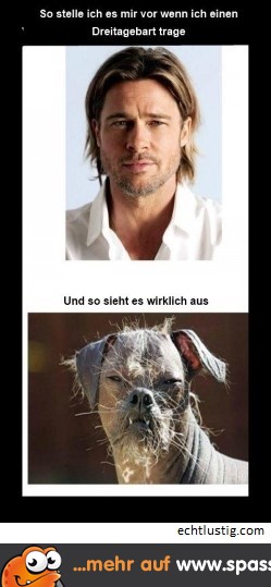Männerprobleme