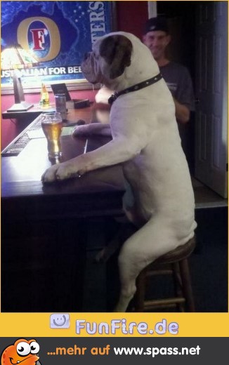 Ein Bier, bitte!