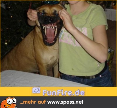 Sag Cheeeeese