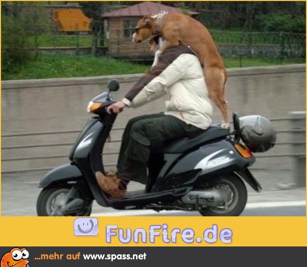 Keine Sorge, ich pass auf!