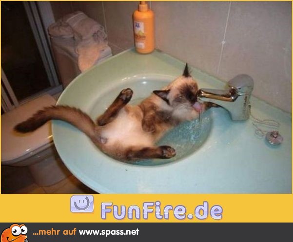 Badetag!