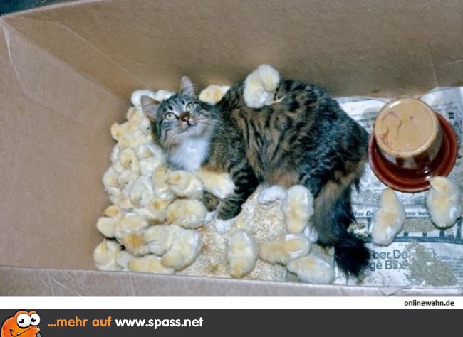 Was ich hier mache?! Nichts!