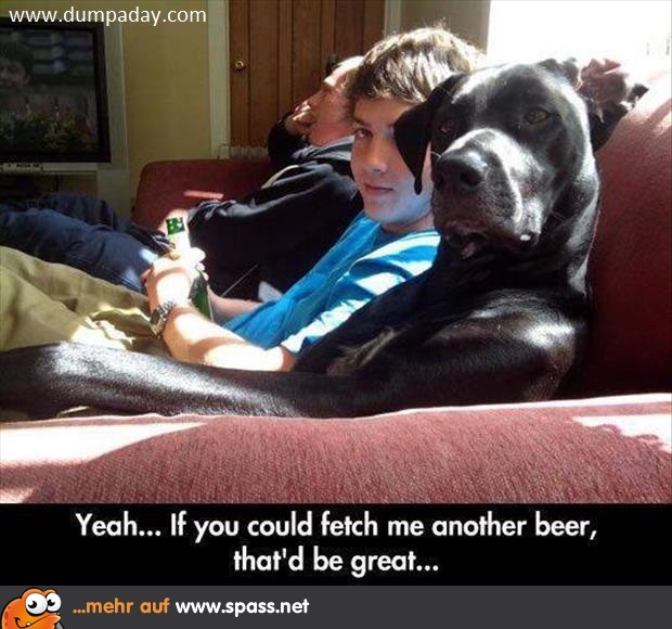 Hol mir ma' 'ne Flasche Bier!