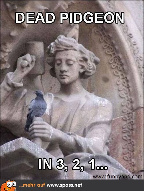 Quitsch, Quatsch, Taubenmatsch
