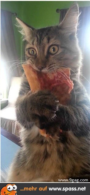 Kuschelpizza