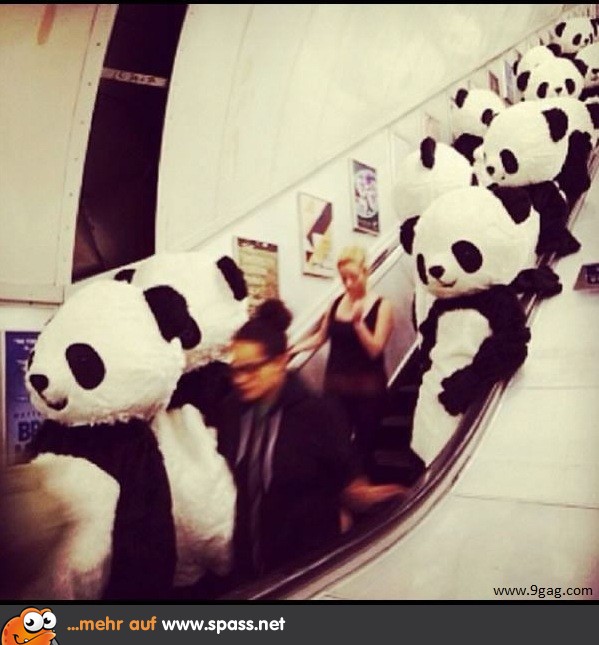 Panda-Party in der Ubahn-Station!