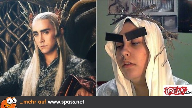 Perfektes Cosplay