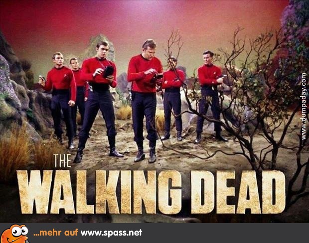 Ein Bild für die Star-Trek-Fans