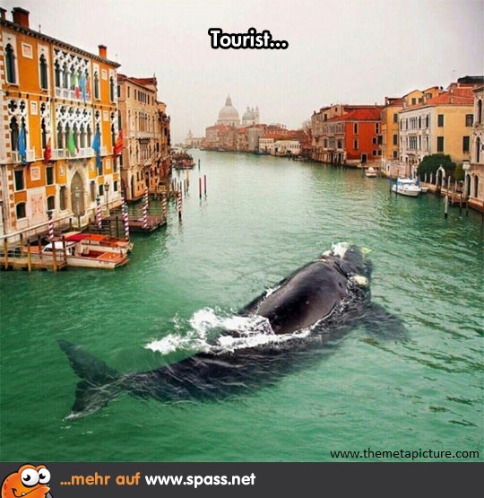 Venedigs Kanäle sind voll von Touristen...