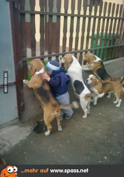 Das neueste Mitglied der Beagle-Bande
