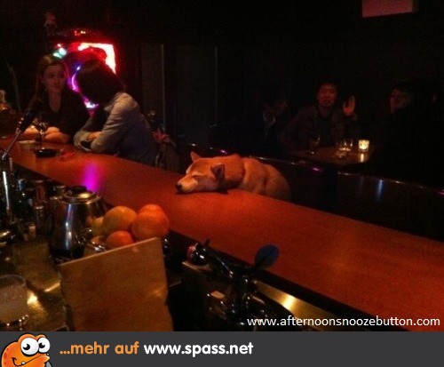 Zu lange alleine in der Bar...