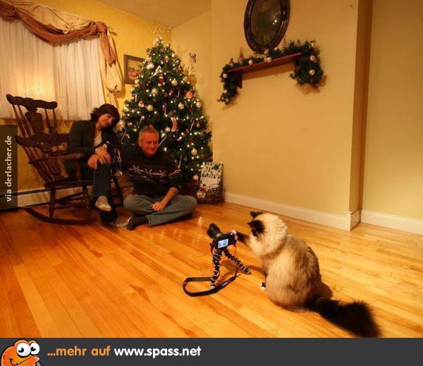 Wozu ins Fotostudio?