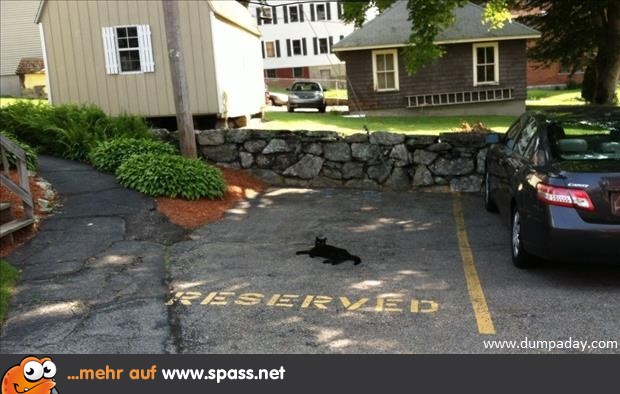 Der Platz ist offensichtlich reserviert.