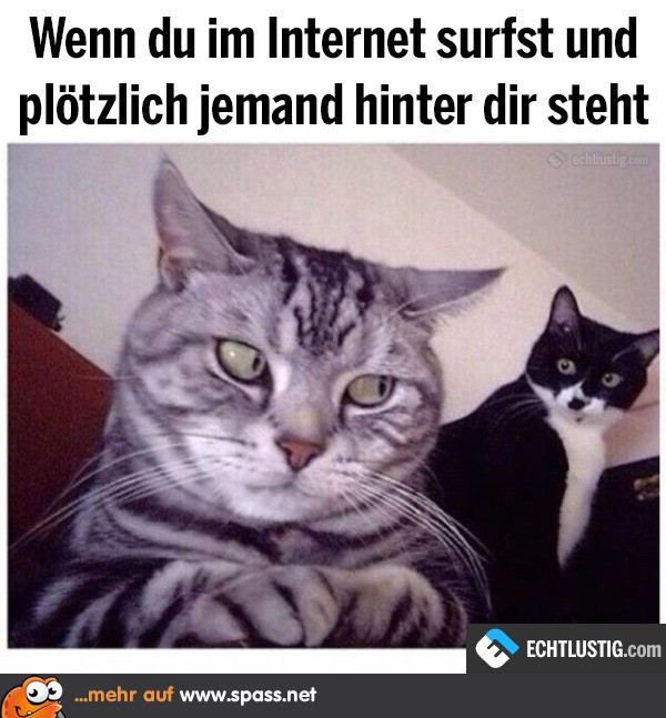 "Kümmer dich um dein Zeug."