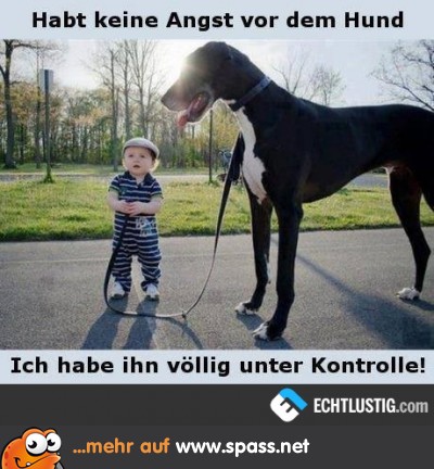 Wer kontrolliert hier wen?