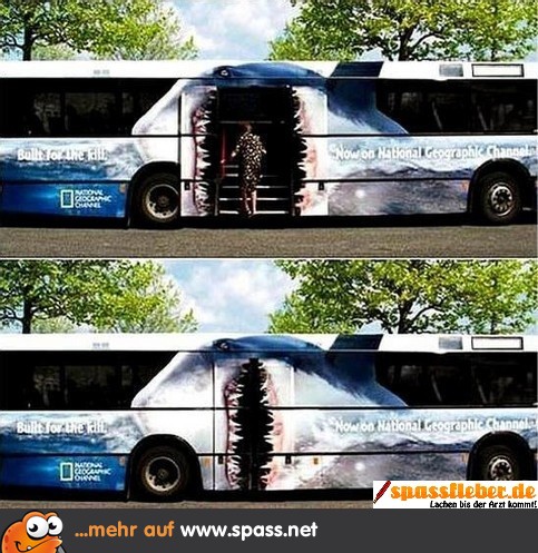 Der Weiße Bus