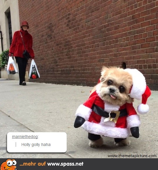 Ein haariger Mini-Santa