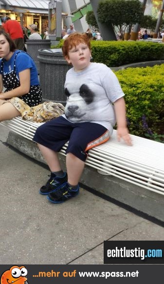 Panda-Shirt