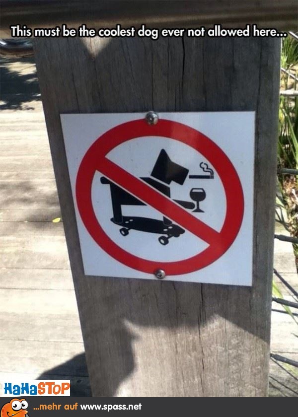 Verbotsschild Hund