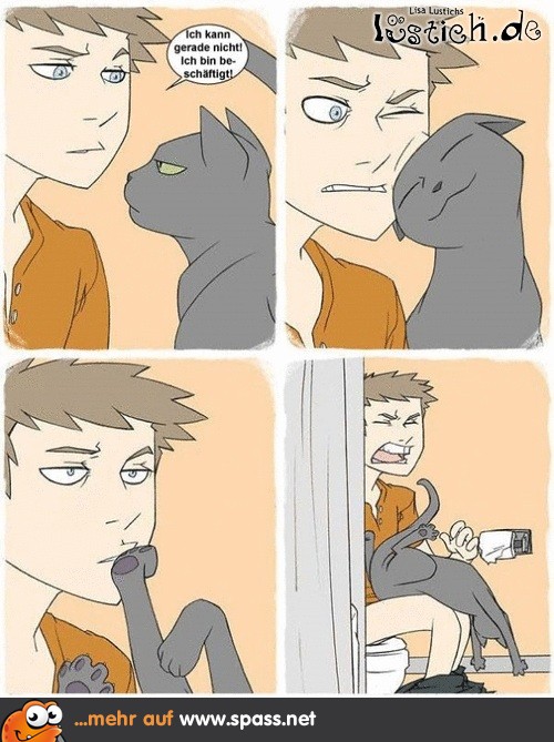 Schmusekatze