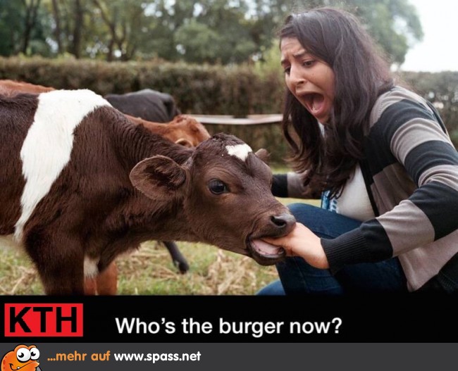 Kuh Burger