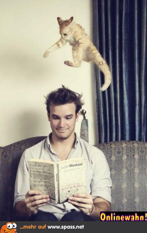 Mann Katze Sprung