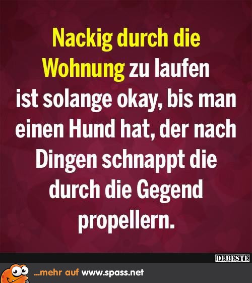 Propeller Hund