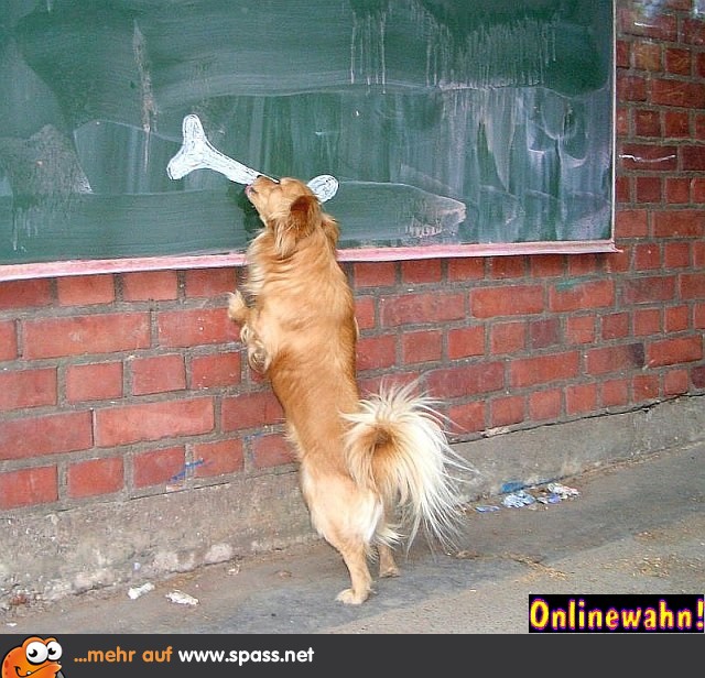Tafel Knochen Hund