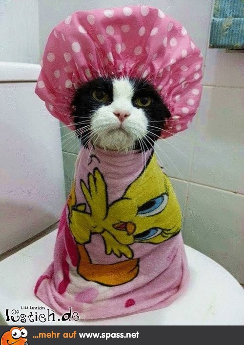 Katze Duschhaube