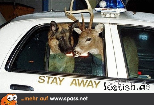 Hirsch Hund Polizei