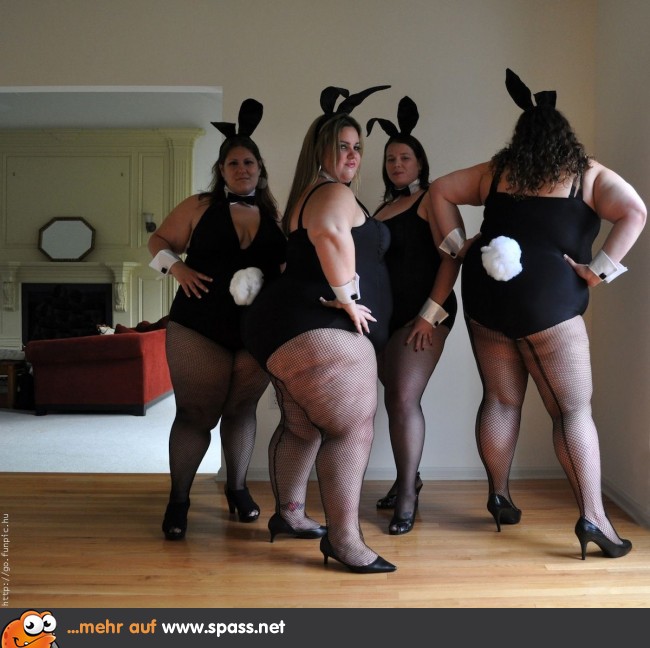 Bunnys