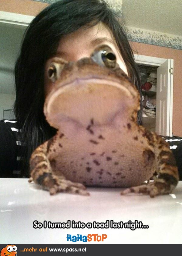 Frosch Gesicht