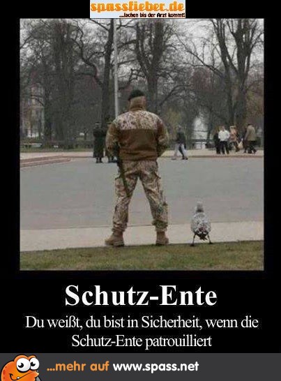 Ente Soldat