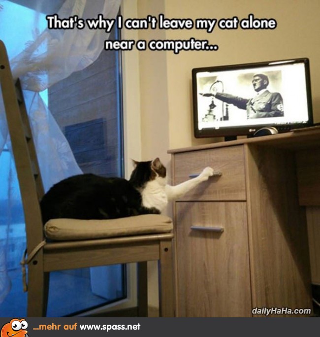 Hitler Katze